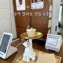 두옹즈 | 서울 젤라또 맛집 상수역 수제 젤라또 두옹즈 맛 종류