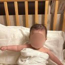 세븐일레븐 수유제일점 | 7개월 8개월 아기랑 아기동반 삿포로 여행 2일차 (feat. 일본 현지 이유식, 일본 아기 기저귀, 수유실...