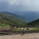 93라운지 이미지