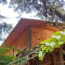 김미자 가마솥밥 이미지