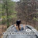 제천 포레스트리솜 해브나인스파 | 스톤스파 웨이팅•준비물•할인 꿀팁정리