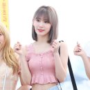 사쿠라 이미지