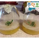 배양팜농원 이미지