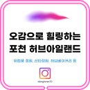 [북부] 플라워테라피 | 포천 허브아일랜드｜향기 속에서 힐링하는 하루, 산책·체험·사진·건강까지