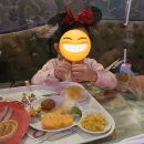 앨리스식당 이미지