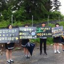 효양고등학교 앞 이미지