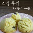 봉봉스쿱 이미지