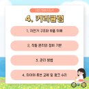 자전거 기본 점검 및 수리 방법 이미지