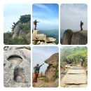 금란초등학교 | 관룡산 · 화왕산 산행(24.04.03)