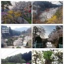 3월펜션 이미지