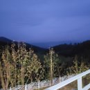 춘향(완주방향)주유소 이미지