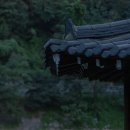 박상진1로L 이미지