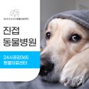 진접동물병원 이미지