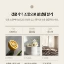 커피꽃향기 | [모엘리 섬유 향수] 꽃향기 섬유탈취제 ∥ 집들이 선물 악취 제거 드레스 퍼퓸