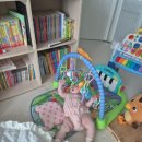 도신체육관 이미지