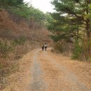 백운산둘레길7코스 네이버블로그