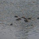 왕숙천 자전거도로2 이미지