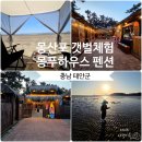 돌고래펜션야영장 | 충남 태안 몽산포해수욕장 갯벌체험,몽푸하우스 펜션 내돈 내산 숙박 후기