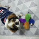 이광수동물병원 이미지