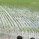 늘행복한농장 이미지