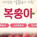 하늘꽃농원