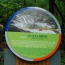 호박소가는길 이미지