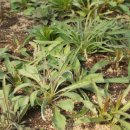 김동열농장 이미지