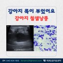 리엔동물의료센터 이미지