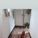 신독