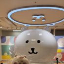 [옥정]블라블라 여행영어 | <오픽 일본어 AL> 첫 시험+2일만에 OPIc 일어 AL 받은 후기, 기출 문제 (일본어 노베이스 X)