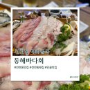 수원 천천동 맛집 먹자골목 동해바다회 단골의 이유