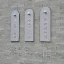 광주 첨단 맛집 쫄깃 탱글 백족발 포장 후기
