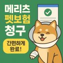 몽이펫 | 메리츠 펫보험 청구 후기! 간편 빠르게