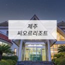 올레모텔 | 호텔가구 , 모텔가구 설치 후기 - 제주씨오르리조트