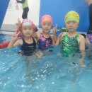 키즈웨일 수영장 이미지