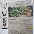 내당칼국수 | 비 오는 날 당신에게 ‘위로가 되는 음식’은 무엇인가요? (내당칼국수 내돈내산후기)