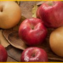 신포축산 이미지