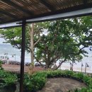 버드 앤드 비 리조트 파타야/ 버즈 앤드 비즈 리조트 숙박후기/ birds and bees resort pattaya/ 디럭스...
