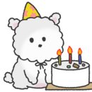 위클라드 애견 풀빌라 이미지