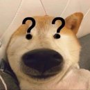 (주)리뷰 네이버블로그