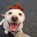 도킹어바웃 이미지