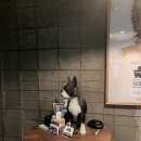 개돼지펍 이미지