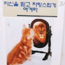 벨트레이닝 이미지