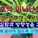 병순농장 이미지