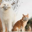 커피 바리스타 2급 과정 이미지