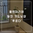 거실] 플랜테리어 도전! 거실 화분 추천, 일산 가드닝샵 '푸르다'에서 홍콩야자나무 데려온 후기 🌿