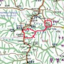 선주의류
