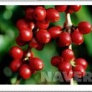 벡스코역사 이미지