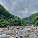 마골댁한옥민박 | 경남 하동, 이른 여름휴가 (in 꽃담민박펜션)