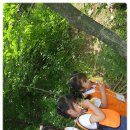 시화리라유 이미지